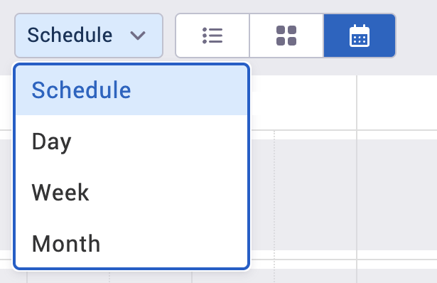 Calendar views dropdown.